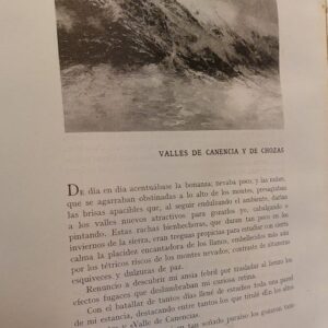 b2783332-abfa-4945-af83-64da983bb4c2-1.jpg