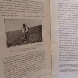 194ba488-fb6d-4fd1-9559-9d09924afcbd-2.jpg