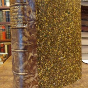 ORIGEN DE 300 APELLIDOS castellanos y vascongados. Estudio al que preceden algunos comentarios al libro titulado  "Bienandanzas e Fortuna" que escribió Lope García de Salazar.