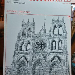 NACIMIENTO DE UNA CATEDRAL.