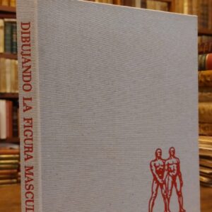 DIBUJANDO LA FIGURA MASCULINA -